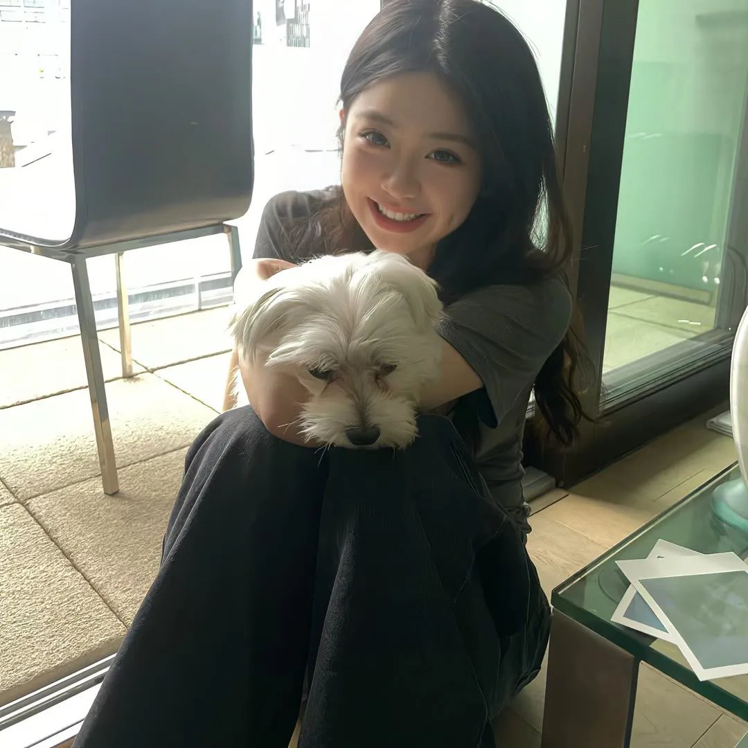 破产后我被前任缠上了