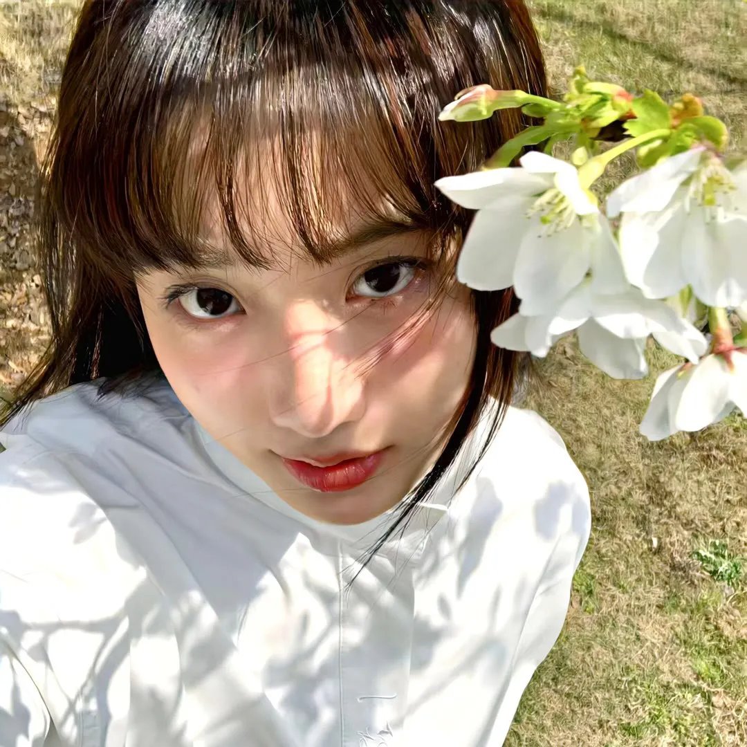 乾坤斗转凤离巢